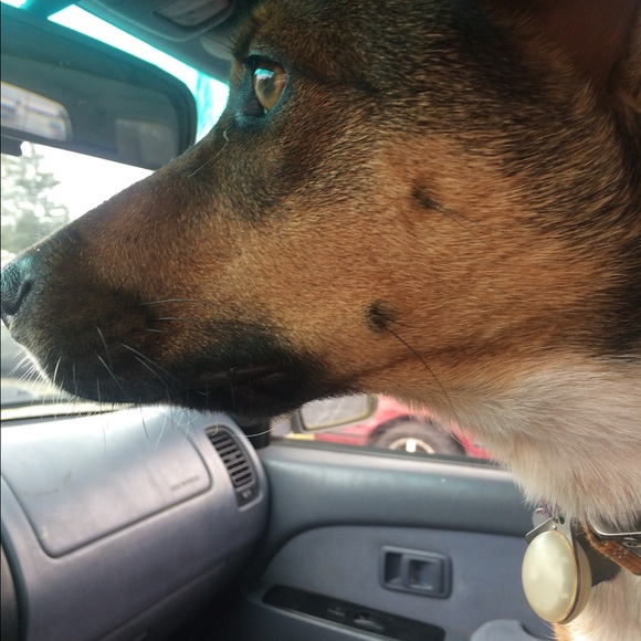 Meet your Posher, Marie - Picture 1 of 1